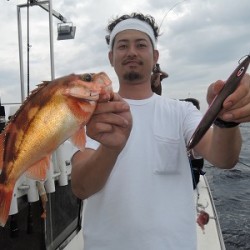 ワープゾーン 釣果