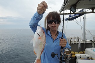 ワープゾーン 釣果