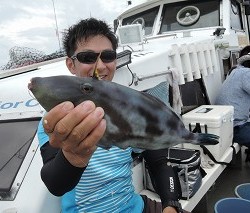 ワープゾーン 釣果