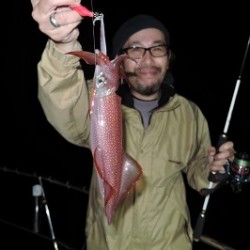 ワープゾーン 釣果