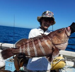 なぎさ丸 釣果