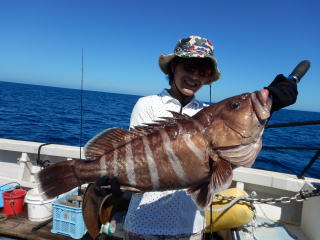 なぎさ丸 釣果