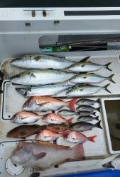 さぶろう丸 釣果