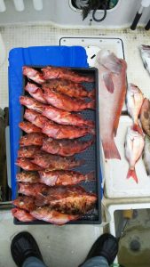 さぶろう丸 釣果