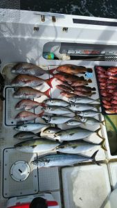 さぶろう丸 釣果