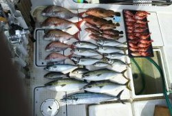 さぶろう丸 釣果