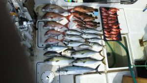 さぶろう丸 釣果