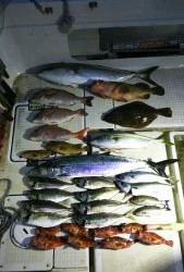 さぶろう丸 釣果