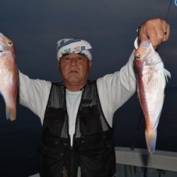 ハピネスⅡ 釣果