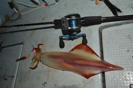 ハピネスⅡ 釣果