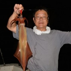 ハピネスⅡ 釣果