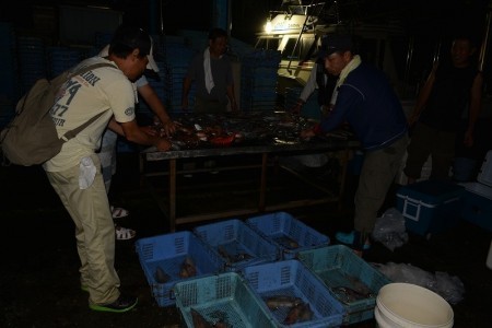 ハピネスⅡ 釣果