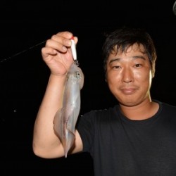 ハピネスⅡ 釣果