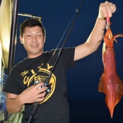 ハピネスⅡ 釣果