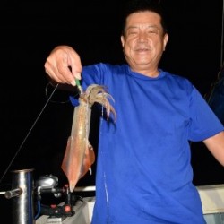 ハピネスⅡ 釣果