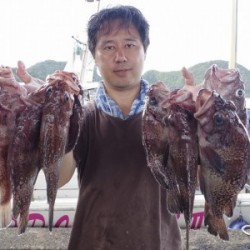 ハピネスⅡ 釣果