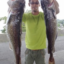 ハピネスⅡ 釣果