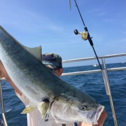 オーシャンキッズ 釣果