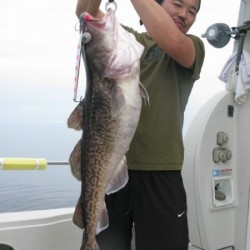 Aquanaut（アクアノート） 釣果