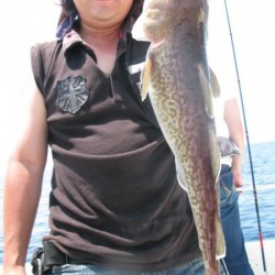 Aquanaut（アクアノート） 釣果