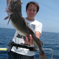 Aquanaut（アクアノート） 釣果