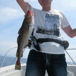 Aquanaut（アクアノート） 釣果