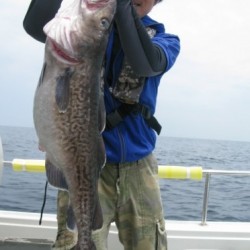 Aquanaut（アクアノート） 釣果