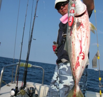 Aquanaut（アクアノート） 釣果