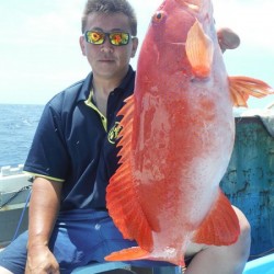 オーシャンパイオニア 釣果