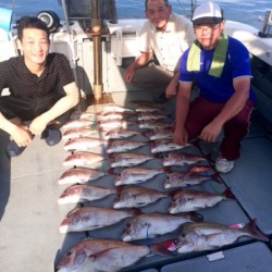 さんさん丸 釣果