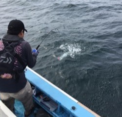 征海丸 釣果