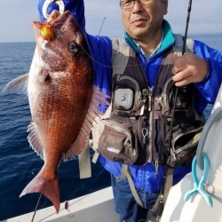 鯛多ニック 釣果