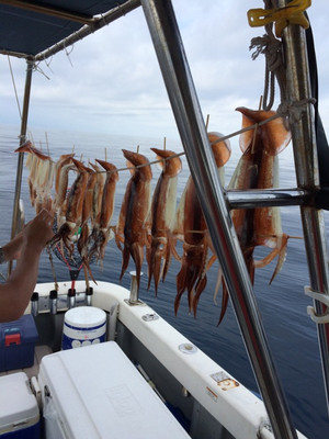 Blue.win 海人丸 釣果