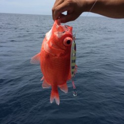 Blue.win 海人丸 釣果