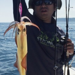 「LaGooN」蒼陽丸 日和号　 釣果