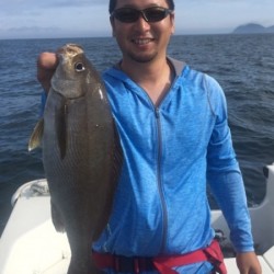 「LaGooN」蒼陽丸 日和号　 釣果