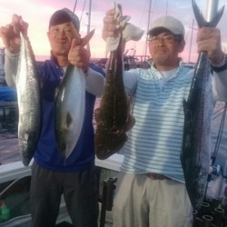 エムズジャーク（M’s JERK） 釣果