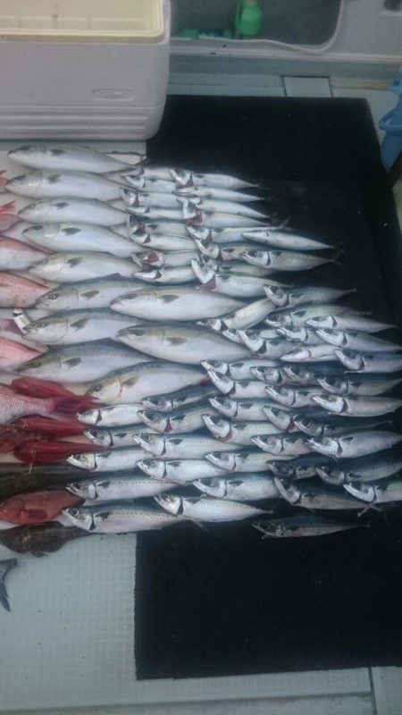 エムズジャーク（M’s JERK） 釣果