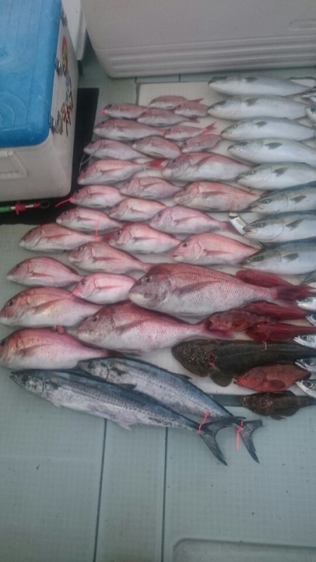 エムズジャーク（M’s JERK） 釣果