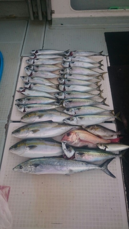 エムズジャーク（M's JERK…