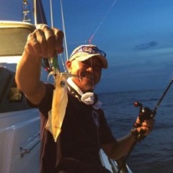 South Current 釣果