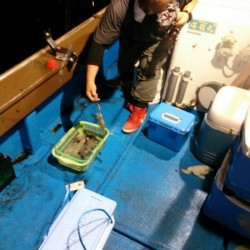 海龍丸 釣果