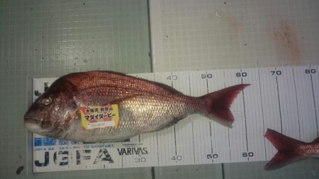 エムズジャーク（M's JERK…