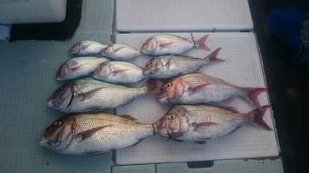 エムズジャーク（M’s JERK） 釣果