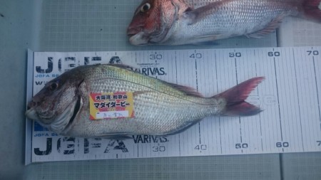 エムズジャーク（M’s JERK） 釣果