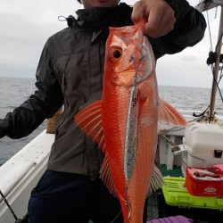 明日丸 釣果