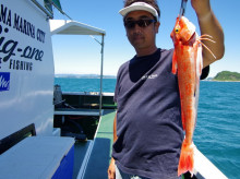 Big One　ビッグワン 釣果