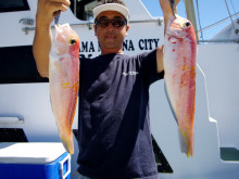 Big One　ビッグワン 釣果