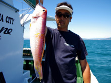 Big One　ビッグワン 釣果