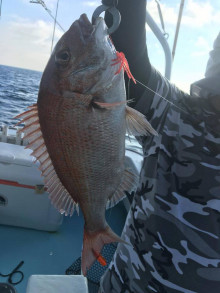水天丸 釣果
